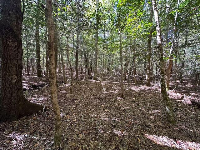 45.5 Acres Cypress Chapel RD, Suffolk, VA 23434