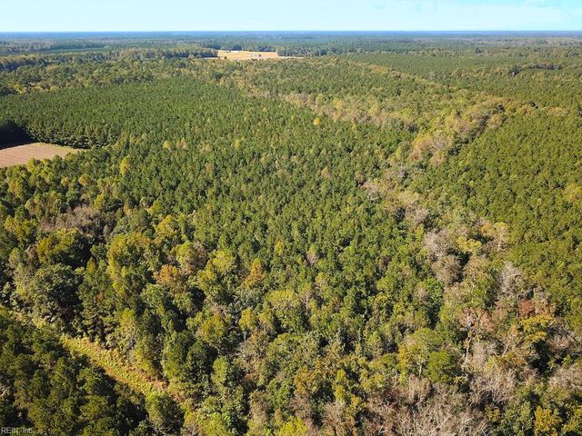 45.5 Acres Cypress Chapel RD, Suffolk, VA 23434