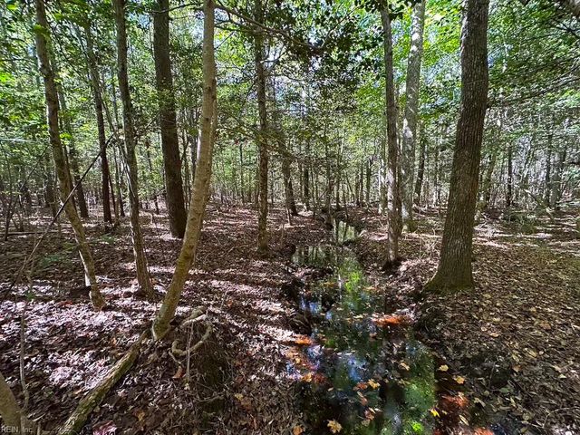 45.5 Acres Cypress Chapel RD, Suffolk, VA 23434