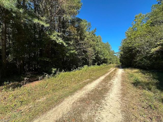 45.5 Acres Cypress Chapel RD, Suffolk, VA 23434