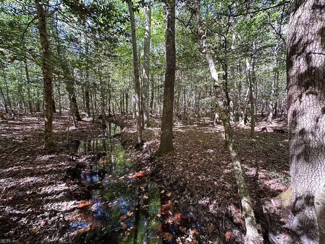 45.5 Acres Cypress Chapel RD, Suffolk, VA 23434