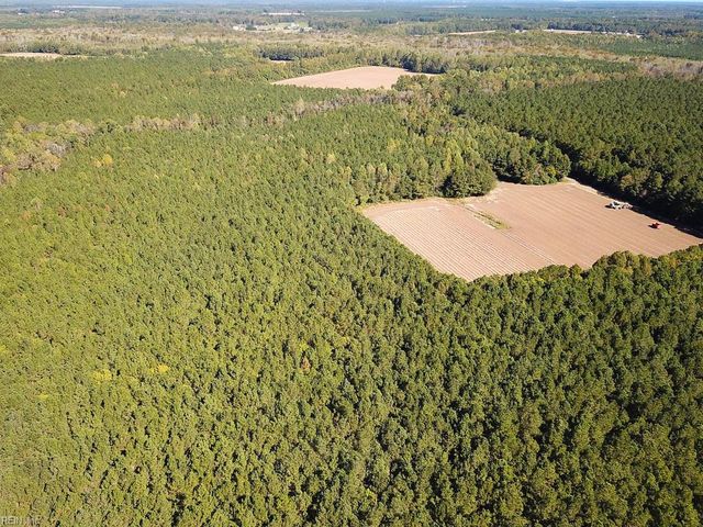 45.5 Acres Cypress Chapel RD, Suffolk, VA 23434