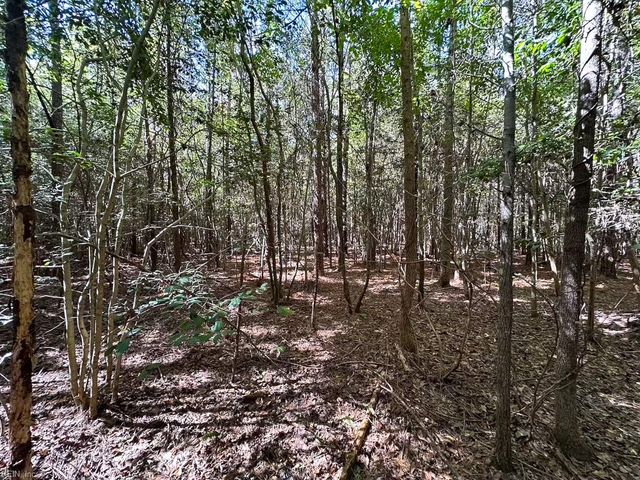 45.5 Acres Cypress Chapel RD, Suffolk, VA 23434