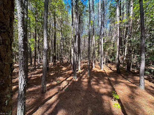 45.5 Acres Cypress Chapel RD, Suffolk, VA 23434