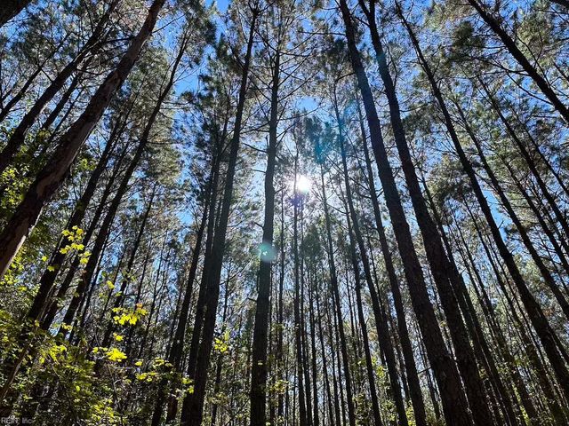 45.5 Acres Cypress Chapel RD, Suffolk, VA 23434