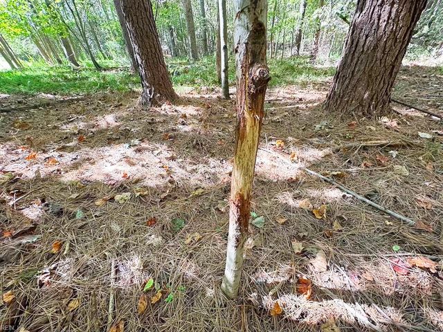 45.5 Acres Cypress Chapel RD, Suffolk, VA 23434