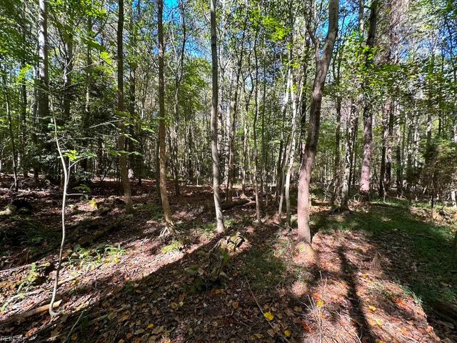 45.5 Acres Cypress Chapel RD, Suffolk, VA 23434