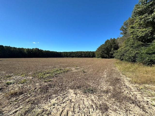 45.5 Acres Cypress Chapel RD, Suffolk, VA 23434