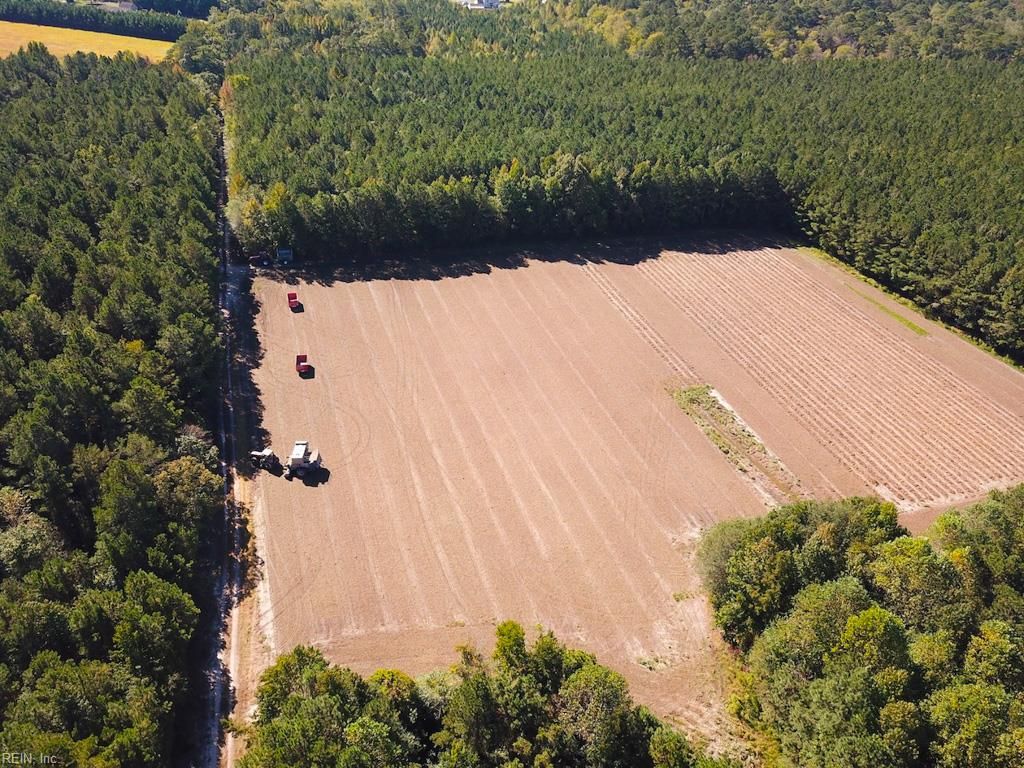 45.5 Acres Cypress Chapel RD, Suffolk, VA 23434