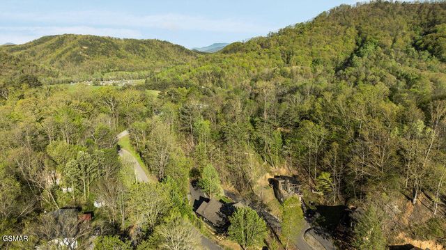 1608 Mitchell Farm Road, Sevierville, TN 37876