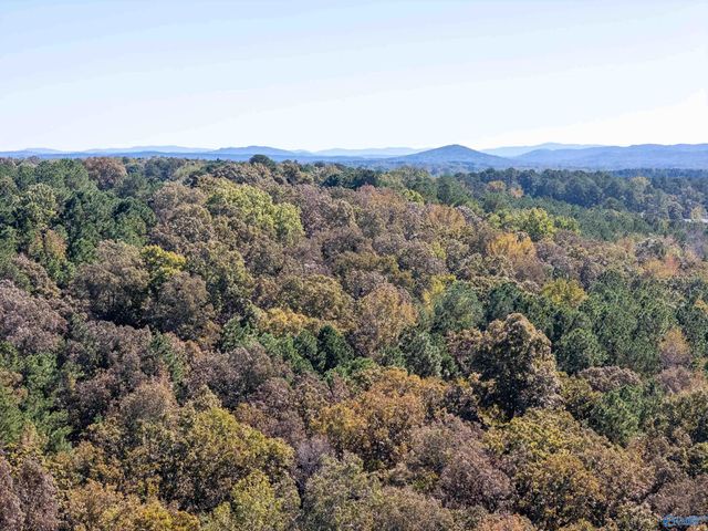 1600 Appalachian Highway, Hokes Bluff, AL 35903