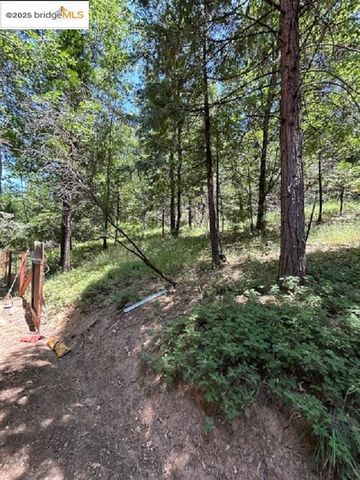 21804 Confidence Rd., Twain Harte, CA 95383