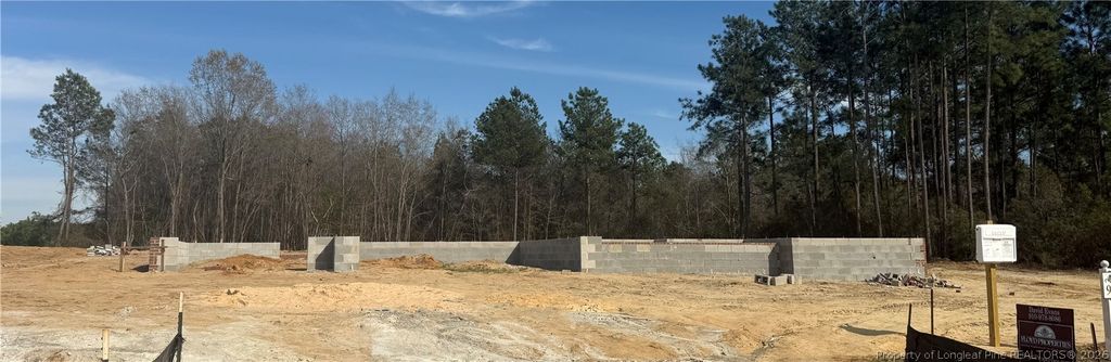 1959 Thomas Wood (Lot 94) Drive, Fayetteville, NC 28306 — photo 2