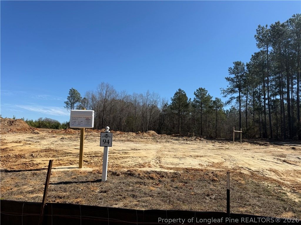 1959 Thomas Wood (Lot 94) Drive, Fayetteville, NC 28306 — photo 3