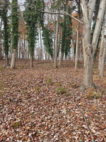 Lot 3 Sigh N Pine RD, Huddleston, VA 24104