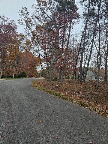 Lot 3 Sigh N Pine RD, Huddleston, VA 24104