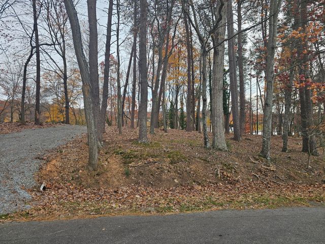 Lot 3 Sigh N Pine RD, Huddleston, VA 24104