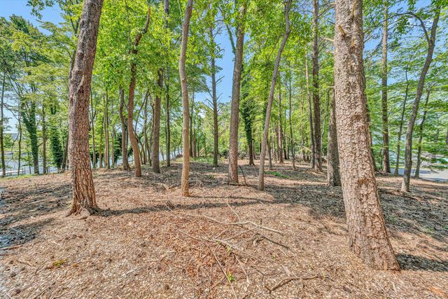 Lot 3 Sigh N Pine RD, Huddleston, VA 24104