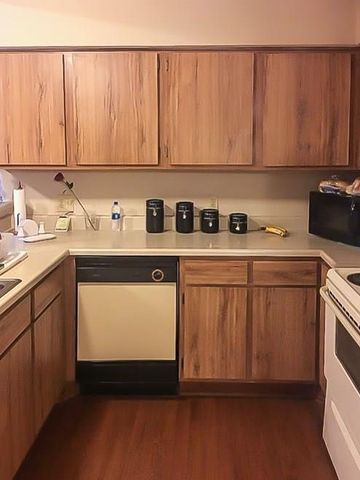 6217 Ludington Drive 20-915, Houston, TX 77035