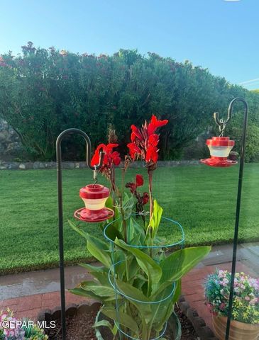 2600 Anise Drive, El Paso, TX 79936