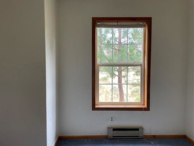 972 Sierra Brooks Drive, Loyalton, CA 96118