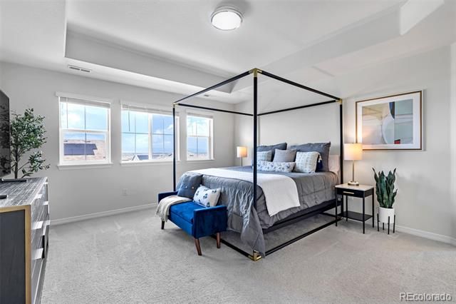 16263 Mount Mestas Way, Broomfield, CO 80023