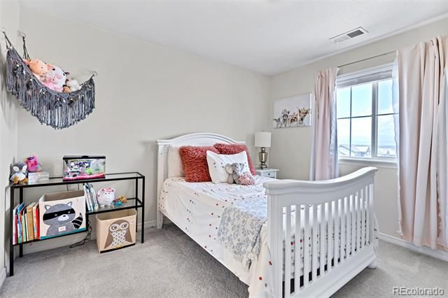16263 Mount Mestas Way, Broomfield, CO 80023