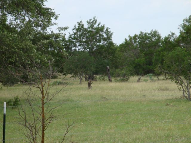 1619 Althaus Ranch RD, Johnson City, TX 78636