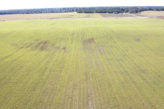 NW 72ND PLACE, Bell, FL 32619