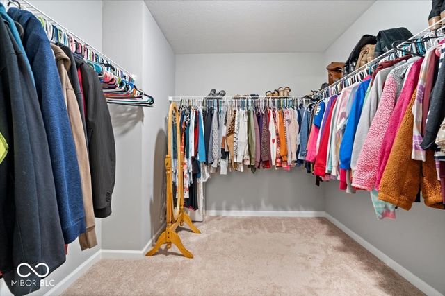 180 Common Loon Boulevard, Cicero, IN 46034