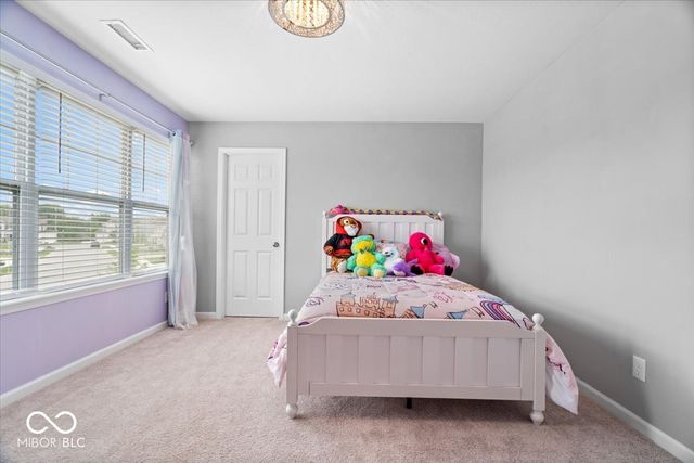 180 Common Loon Boulevard, Cicero, IN 46034