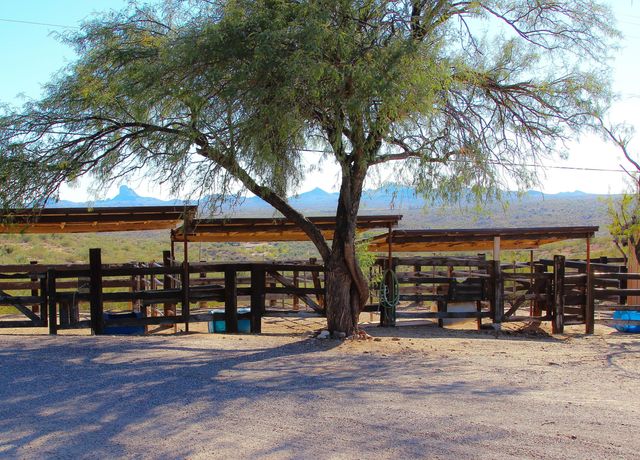 56550 RANCHO CASITAS Road, Wickenburg, AZ 85390