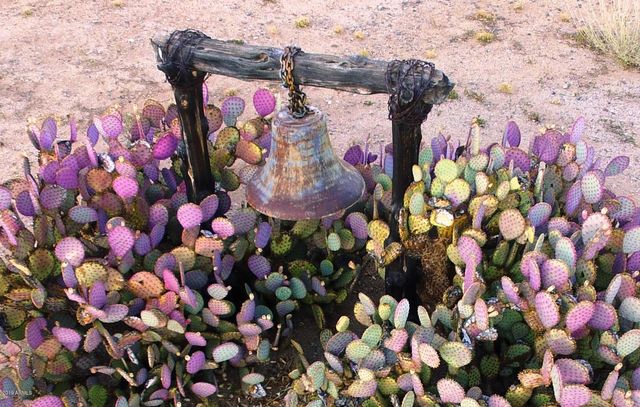 56550 RANCHO CASITAS Road, Wickenburg, AZ 85390