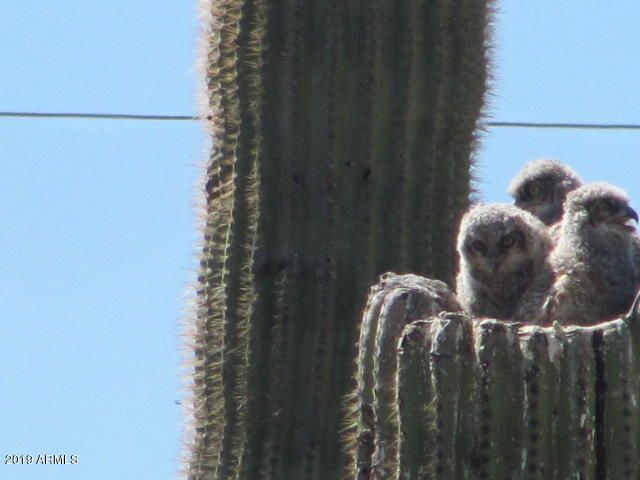 56550 RANCHO CASITAS Road, Wickenburg, AZ 85390