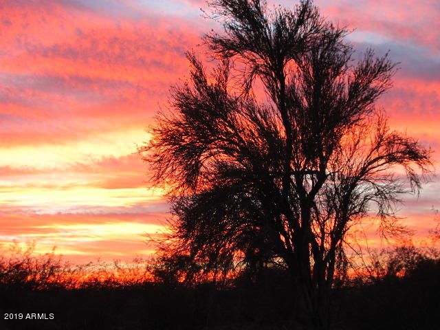 56550 RANCHO CASITAS Road, Wickenburg, AZ 85390