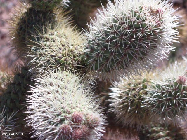 56550 RANCHO CASITAS Road, Wickenburg, AZ 85390