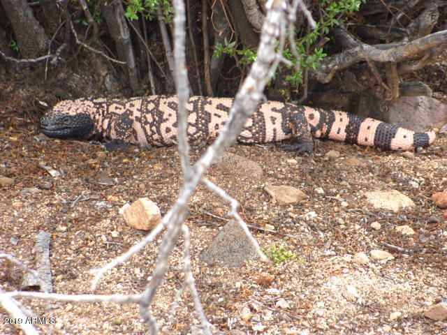 56550 RANCHO CASITAS Road, Wickenburg, AZ 85390