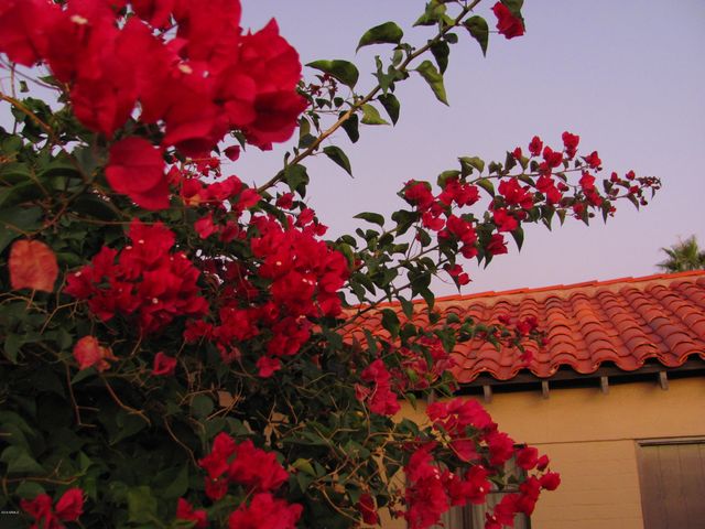 56550 RANCHO CASITAS Road, Wickenburg, AZ 85390