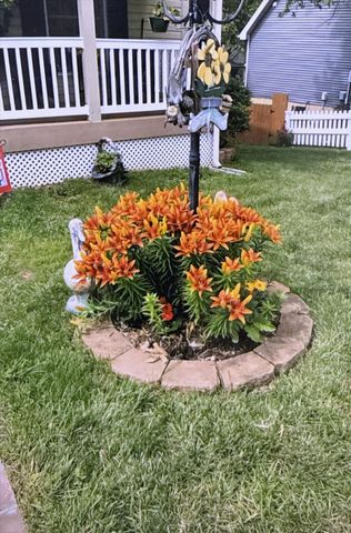 1502 E Sycamore Street, Ozark, MO 65721