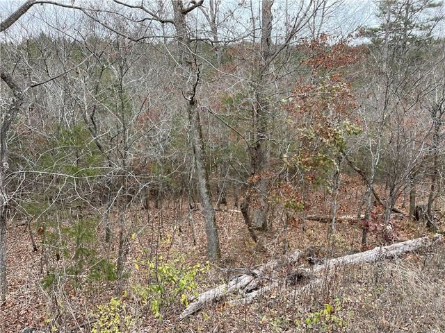 88 Valley Drive, Holiday Island, AR 72631