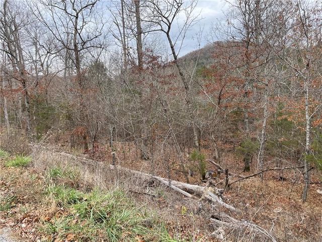 88 Valley Drive, Holiday Island, AR 72631