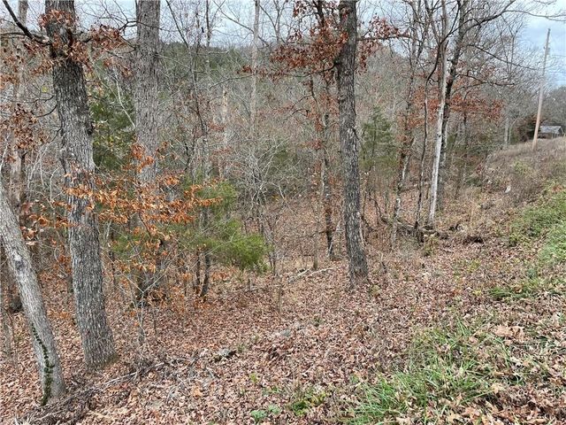 88 Valley Drive, Holiday Island, AR 72631