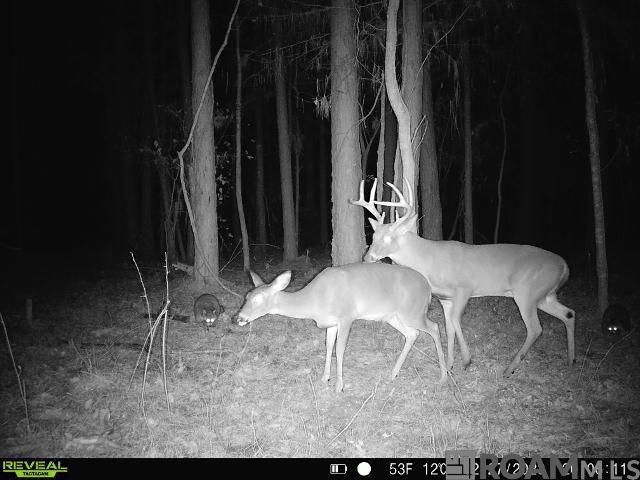 Tract X-1 Scott Barr Rd, Slaughter, LA 70777