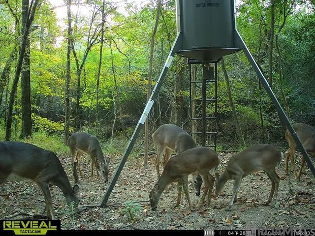 Tract X-1 Scott Barr Rd, Slaughter, LA 70777