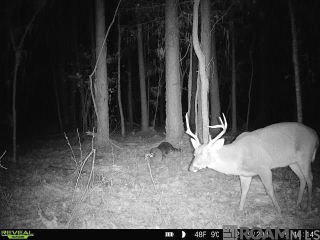 Tract X-1 Scott Barr Rd, Slaughter, LA 70777