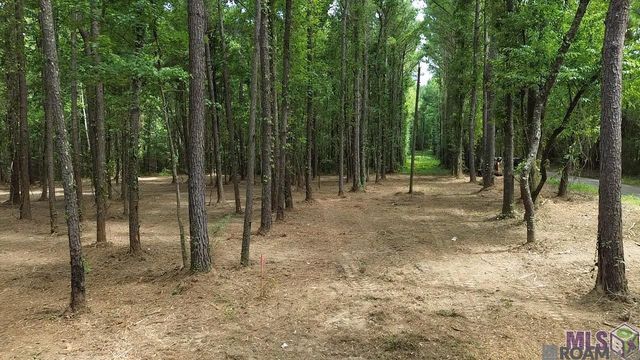 Tract X-1 Scott Barr Rd, Slaughter, LA 70777