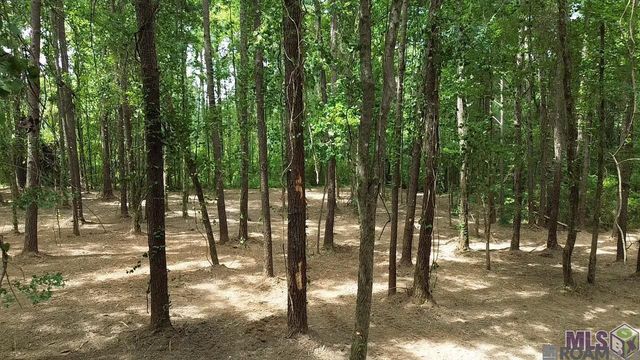 Tract X-1 Scott Barr Rd, Slaughter, LA 70777