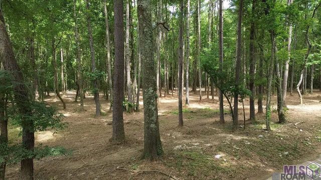 Tract X-1 Scott Barr Rd, Slaughter, LA 70777