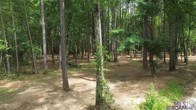 Tract X-1 Scott Barr Rd, Slaughter, LA 70777