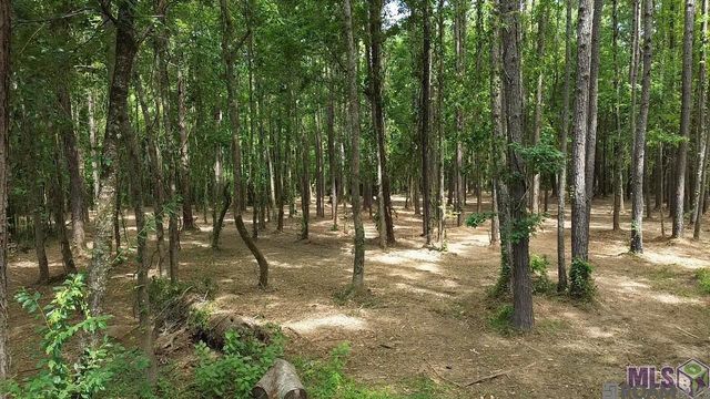 Tract X-1 Scott Barr Rd, Slaughter, LA 70777